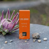 The City Shield - Mineral Tinted Sunscreen SPF30. daily mineral protection without the white cast.